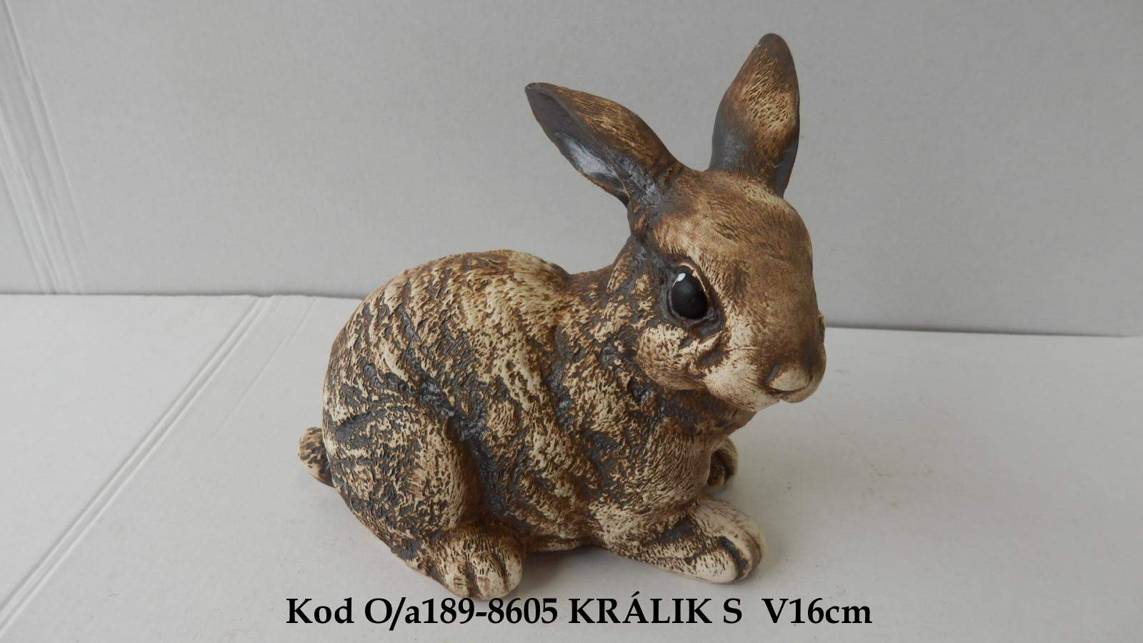 KRÁLIK S 8605