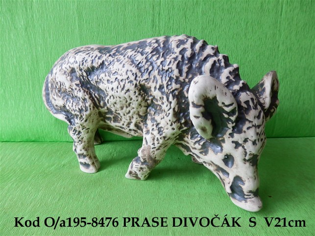 PRASE DIVOČÁK S 8476
