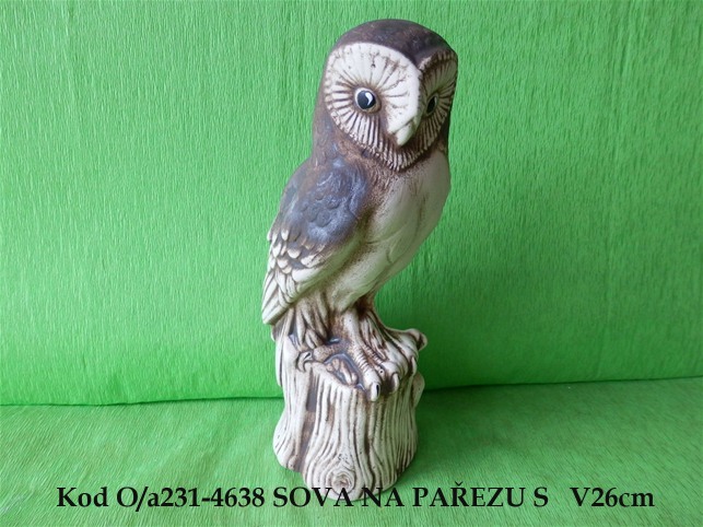 SOVA NA PAŘEZU S 4638