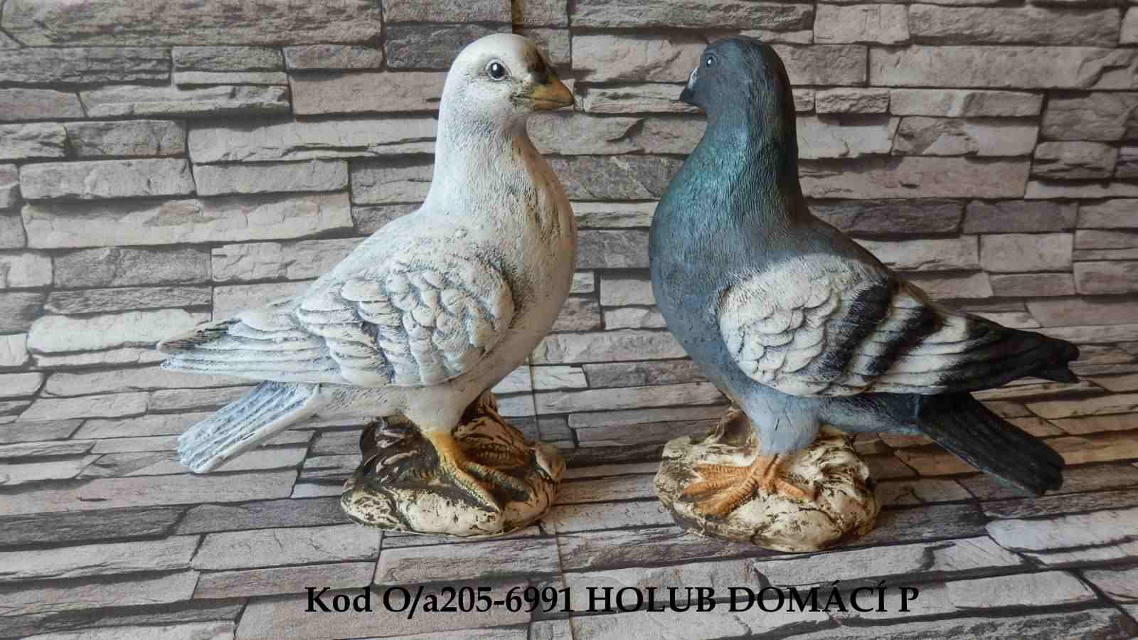 HOLUB P 6991