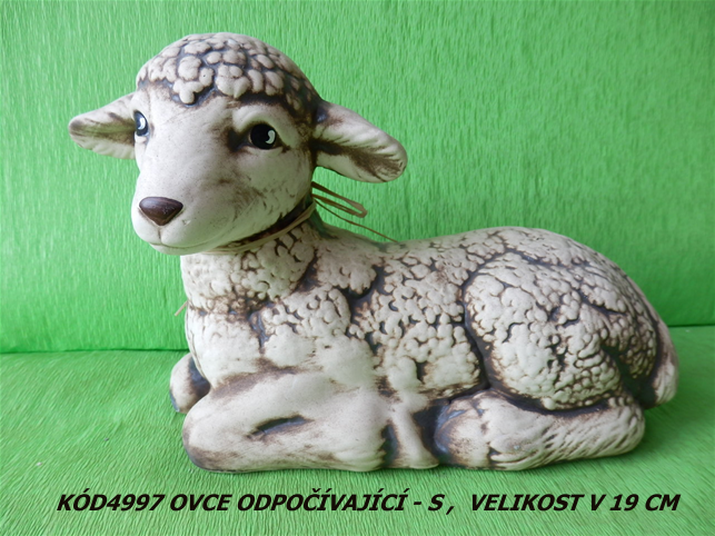 Kód4997 Náze vovce odpočívající-SVelikostV19
