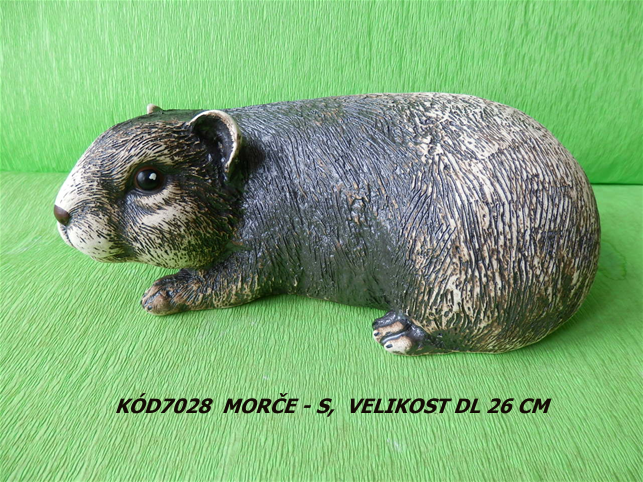 Kód7028 Název morče-SVelikostDl26