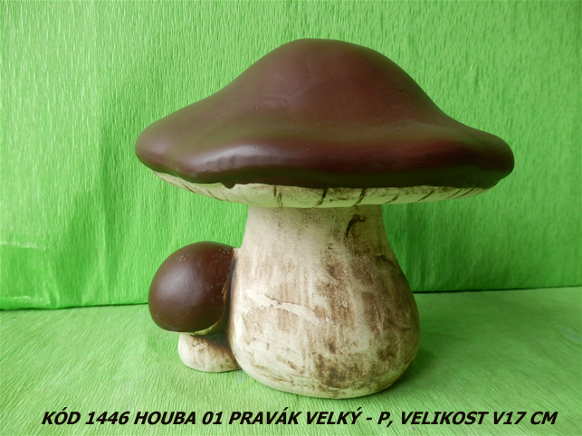 Kód1446 Název houba 01 pravák velký-P VelikostV 17