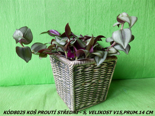 Kód8025 Název koš proutí středníVelikostV15Pru14
