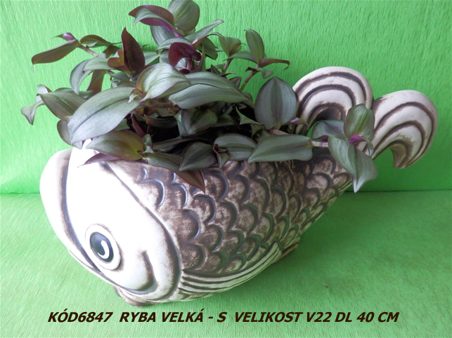 Kód6847 Název ryba velká-SVelikostV22DL40