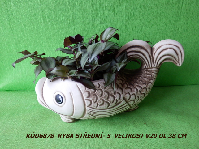 Kód6878 Název ryba střední-SVelikostV20DL38