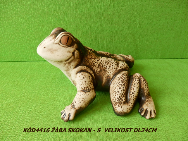 Kód4416 Název žába skokan-S VelikostDL24