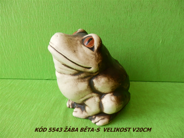 Kód5543 Název žába běta-S VelikostV20