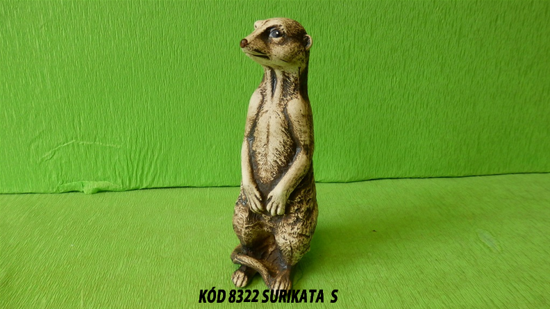 KÓD 8322 Surikata S