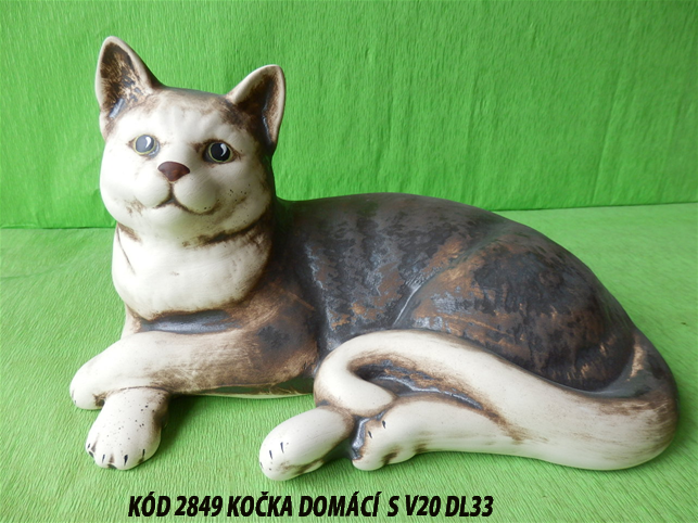 2KÓD849 Kočka domácí-S V20 DL33