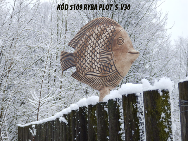 KÓD 5109 Ryba kapr S V30